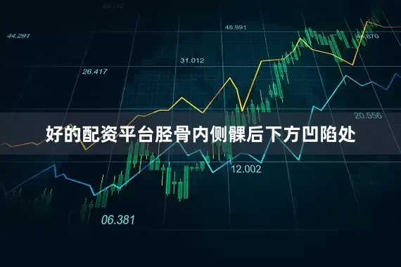 好的配资平台胫骨内侧髁后下方凹陷处