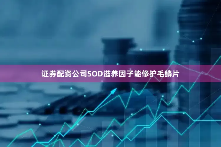证券配资公司SOD滋养因子能修护毛鳞片