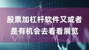股票加杠杆软件又或者是有机会去看看展览