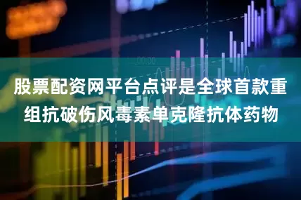 股票配资网平台点评是全球首款重组抗破伤风毒素单克隆抗体药物