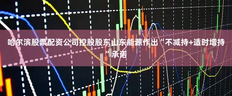 哈尔滨股票配资公司控股股东山东能源作出“不减持+适时增持”承诺
